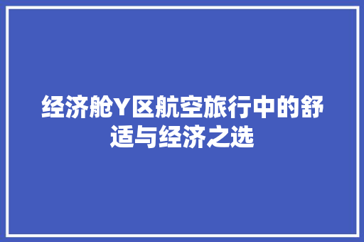 经济舱Y区航空旅行中的舒适与经济之选 经济舱Y区航空旅行中的舒适与经济之选