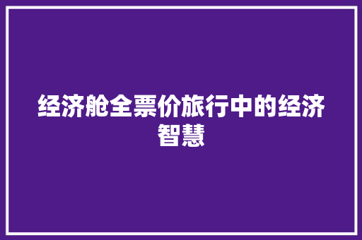 经济舱全票价旅行中的经济智慧 经济舱全票价旅行中的经济智慧