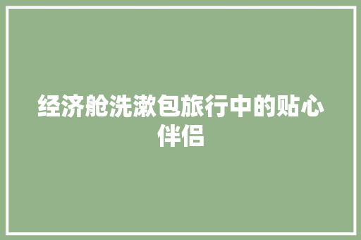 经济舱洗漱包旅行中的贴心伴侣 经济舱洗漱包旅行中的贴心伴侣