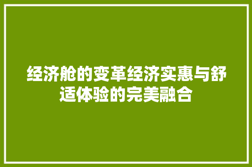 经济舱的变革经济实惠与舒适体验的完美融合 经济舱的变革经济实惠与舒适体验的完美融合