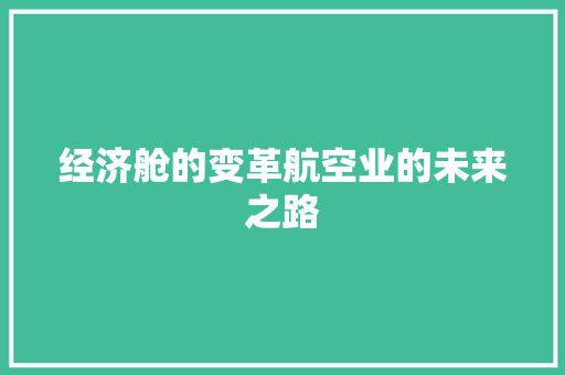 经济舱的变革航空业的未来之路