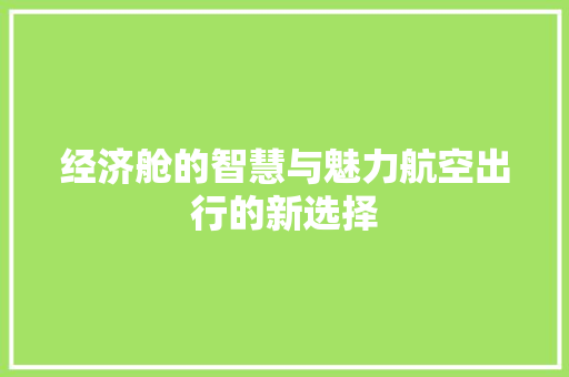 经济舱的智慧与魅力航空出行的新选择 经济舱的智慧与魅力航空出行的新选择