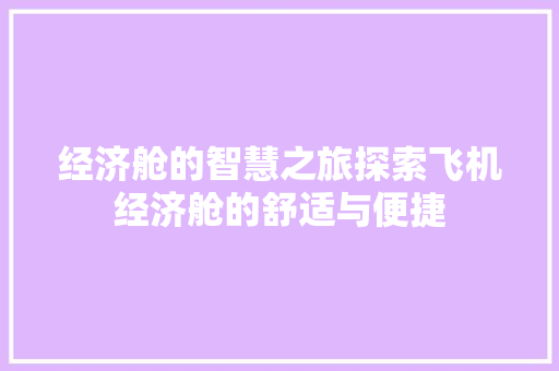 经济舱的智慧之旅探索飞机经济舱的舒适与便捷 经济舱的智慧之旅探索飞机经济舱的舒适与便捷