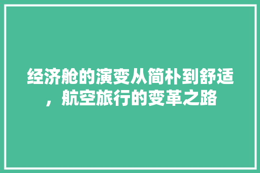 经济舱的演变从简朴到舒适,航空旅行的变革之路 经济舱的演变从简朴到舒适,航空旅行的变革之路