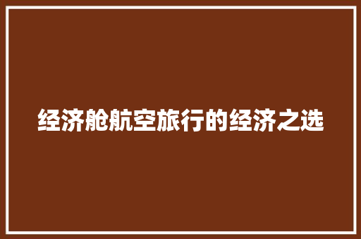 经济舱航空旅行的经济之选 经济舱航空旅行的经济之选