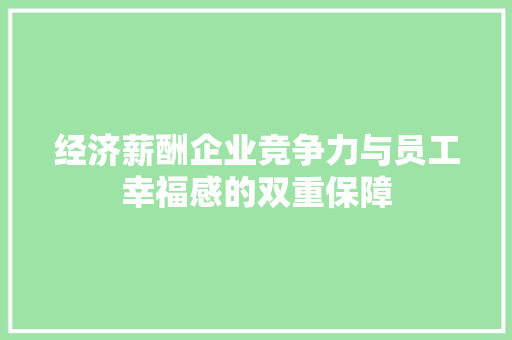 经济薪酬企业竞争力与员工幸福感的双重保障 经济薪酬企业竞争力与员工幸福感的双重保障