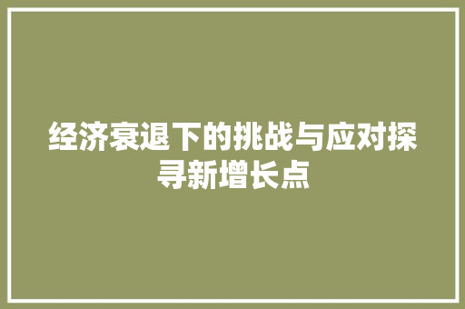 经济衰退下的挑战与应对探寻新增长点 经济衰退下的挑战与应对探寻新增长点