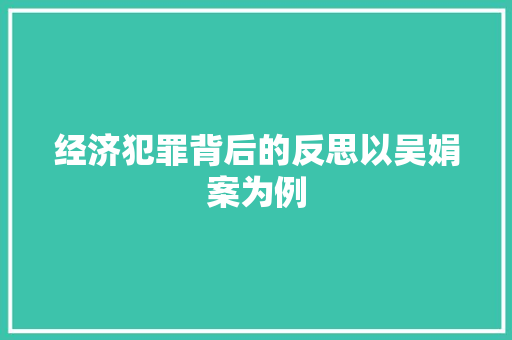 经济犯罪背后的反思以吴娟案为例 经济犯罪背后的反思以吴娟案为例