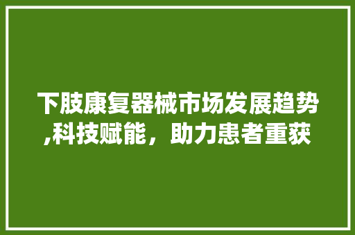 下肢康复器械市场发展趋势,科技赋能,助力患者重获健康人生_下肢康复器械市场趋势分析 下肢康复器械市场发展趋势,科技赋能,助力患者重获健康人生_下肢康复器械市场趋势分析