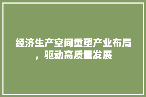 经济生产空间重塑产业布局,驱动高质量发展 经济生产空间重塑产业布局,驱动高质量发展