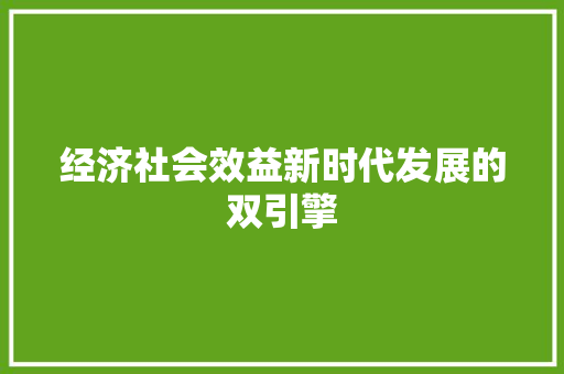经济社会效益新时代发展的双引擎 经济社会效益新时代发展的双引擎