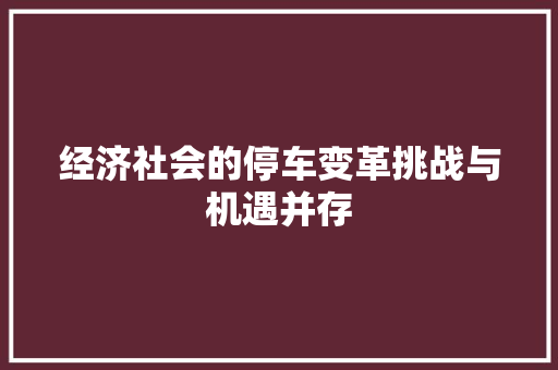 经济社会的停车变革挑战与机遇并存 经济社会的停车变革挑战与机遇并存