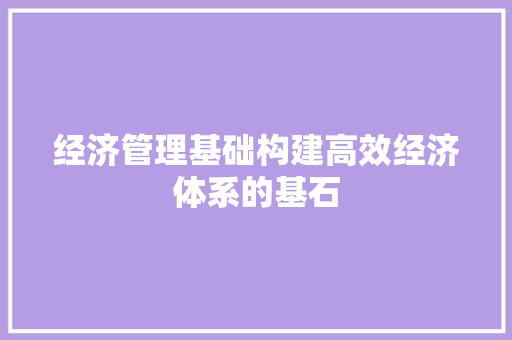 经济管理基础构建高效经济体系的基石 经济管理基础构建高效经济体系的基石