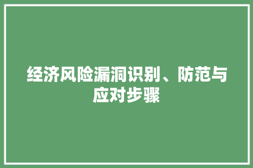 经济风险漏洞识别、防范与应对步骤 经济风险漏洞识别、防范与应对步骤