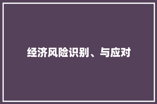 经济风险识别、与应对 经济风险识别、与应对