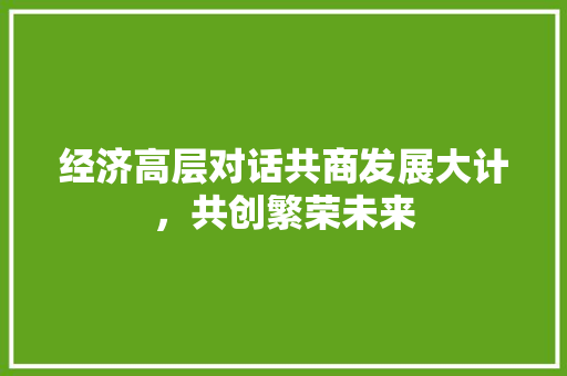 经济高层对话共商发展大计,共创繁荣未来 经济高层对话共商发展大计,共创繁荣未来