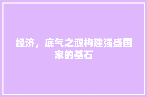 经济,底气之源构建强盛国家的基石 经济,底气之源构建强盛国家的基石