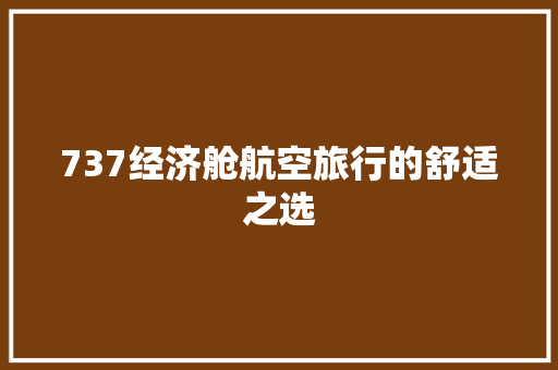 737经济舱航空旅行的舒适之选 737经济舱航空旅行的舒适之选