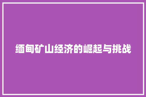 缅甸矿山经济的崛起与挑战 缅甸矿山经济的崛起与挑战