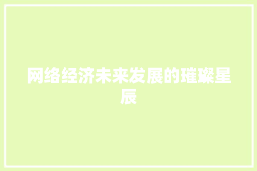 网络经济未来发展的璀璨星辰 网络经济未来发展的璀璨星辰