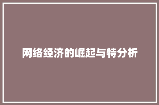 网络经济的崛起与特分析 网络经济的崛起与特分析