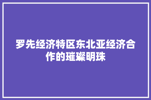 罗先经济特区东北亚经济合作的璀璨明珠 罗先经济特区东北亚经济合作的璀璨明珠