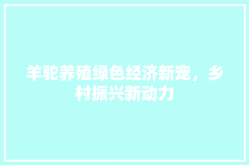 羊驼养殖绿色经济新宠,乡村振兴新动力 羊驼养殖绿色经济新宠,乡村振兴新动力