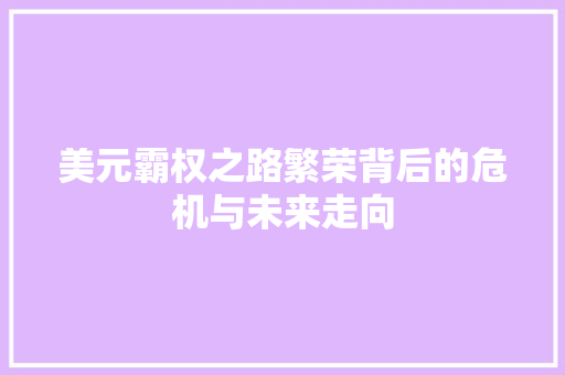 美元霸权之路繁荣背后的危机与未来走向