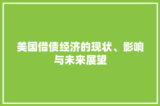 美国借债经济的现状、影响与未来展望 美国借债经济的现状、影响与未来展望