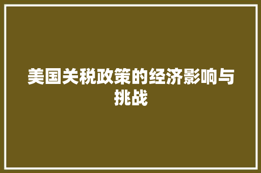 美国关税政策的经济影响与挑战 美国关税政策的经济影响与挑战