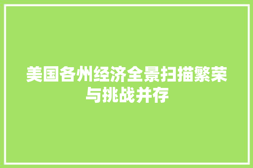 美国各州经济全景扫描繁荣与挑战并存 美国各州经济全景扫描繁荣与挑战并存