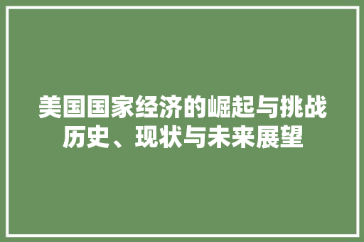 美国国家经济的崛起与挑战历史、现状与未来展望