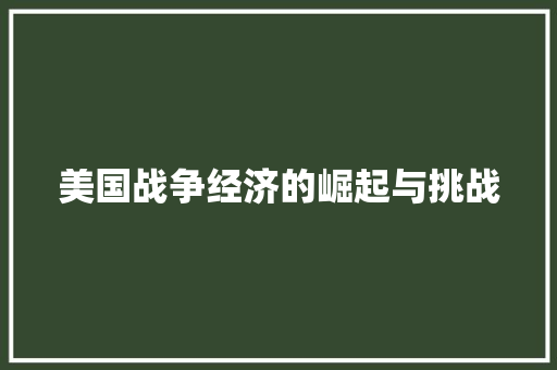美国战争经济的崛起与挑战 美国战争经济的崛起与挑战
