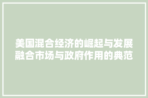 美国混合经济的崛起与发展融合市场与政府作用的典范 美国混合经济的崛起与发展融合市场与政府作用的典范