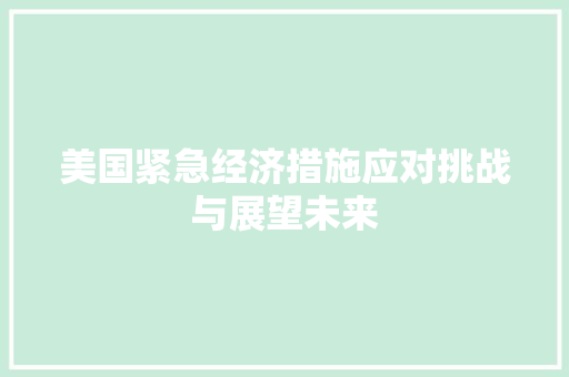 美国紧急经济措施应对挑战与展望未来 美国紧急经济措施应对挑战与展望未来