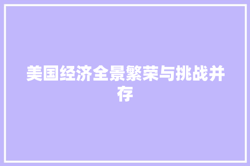 美国经济全景繁荣与挑战并存 美国经济全景繁荣与挑战并存