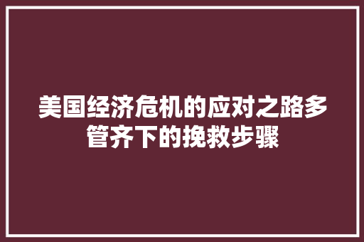 美国经济危机的应对之路多管齐下的挽救步骤 美国经济危机的应对之路多管齐下的挽救步骤