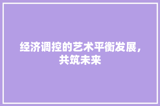 经济调控的艺术平衡发展,共筑未来 经济调控的艺术平衡发展,共筑未来