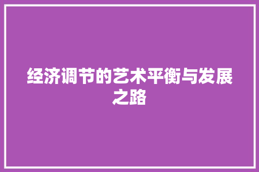 经济调节的艺术平衡与发展之路 经济调节的艺术平衡与发展之路