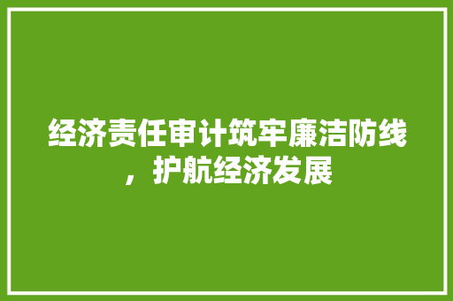 经济责任审计筑牢廉洁防线,护航经济发展 经济责任审计筑牢廉洁防线,护航经济发展