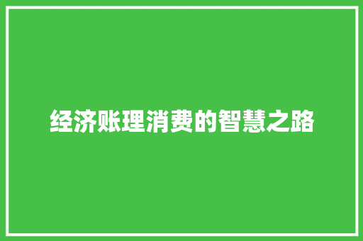 经济账理消费的智慧之路 经济账理消费的智慧之路
