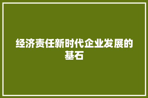 经济责任新时代企业发展的基石 经济责任新时代企业发展的基石
