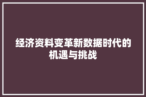 经济资料变革新数据时代的机遇与挑战 经济资料变革新数据时代的机遇与挑战