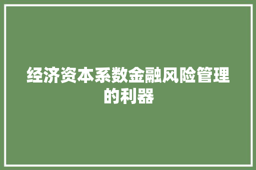 经济资本系数金融风险管理的利器 经济资本系数金融风险管理的利器