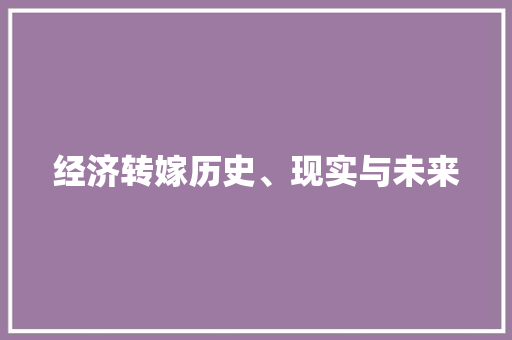 经济转嫁历史、现实与未来 经济转嫁历史、现实与未来