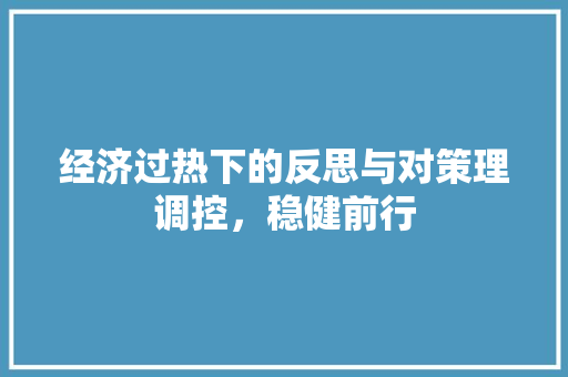 经济过热下的反思与对策理调控,稳健前行 经济过热下的反思与对策理调控,稳健前行
