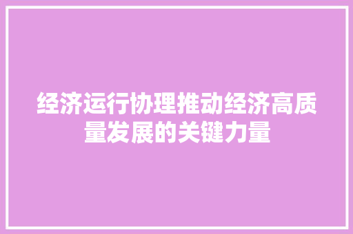 经济运行协理推动经济高质量发展的关键力量 经济运行协理推动经济高质量发展的关键力量