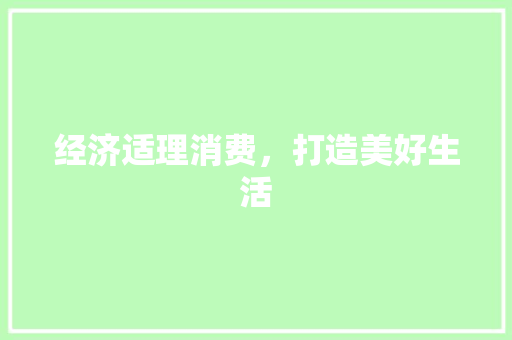 经济适理消费,打造美好生活 经济适理消费,打造美好生活