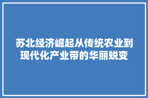苏北经济崛起从传统农业到现代化产业带的华丽蜕变 苏北经济崛起从传统农业到现代化产业带的华丽蜕变