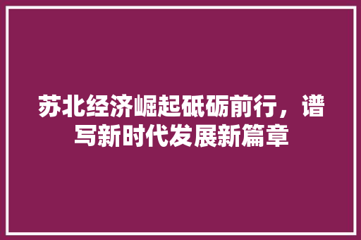 苏北经济崛起砥砺前行,谱写新时代发展新篇章 苏北经济崛起砥砺前行,谱写新时代发展新篇章